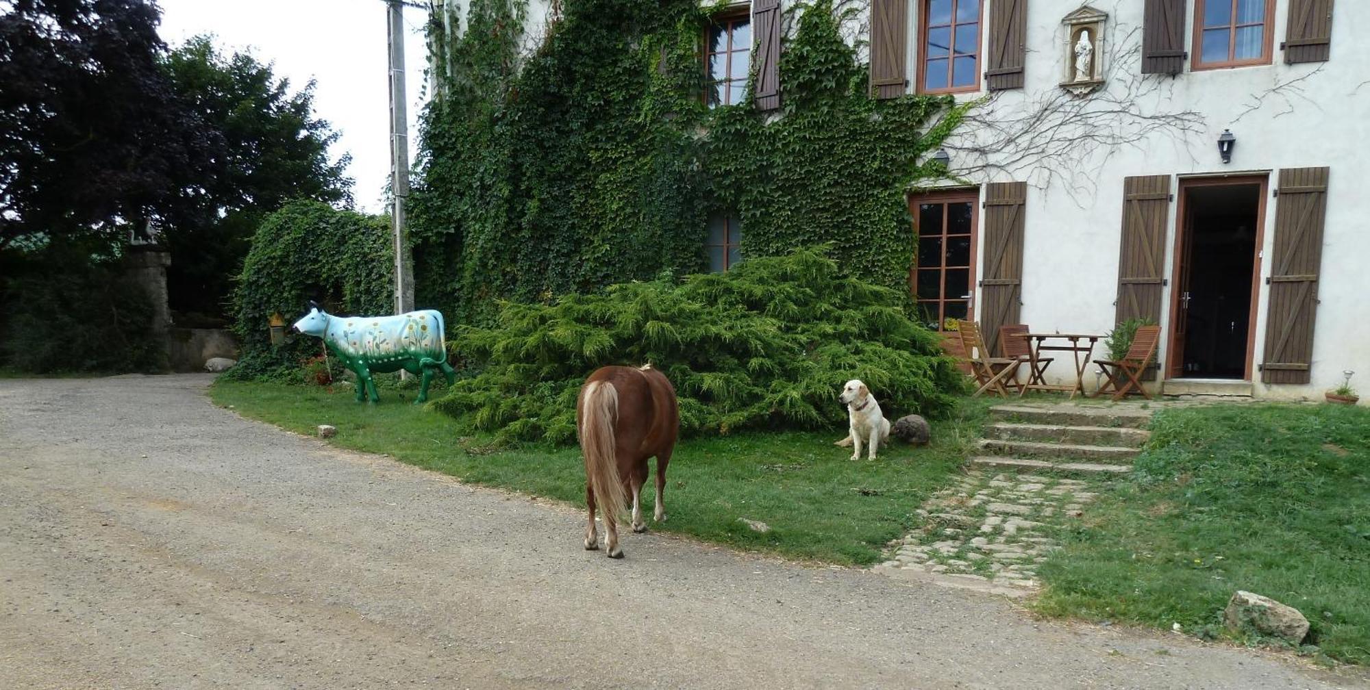 Bed and Breakfast Ferme Du Montheu Dommartin-sous-Amance Екстер'єр фото
